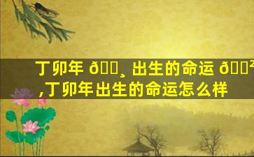 丁卯年 🌸 出生的命运 🌲 ,丁卯年出生的命运怎么样